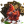 đá gà