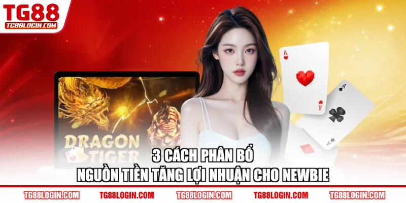 3 cách phân bổ nguồn tiền tăng lợi nhuận cho newbie