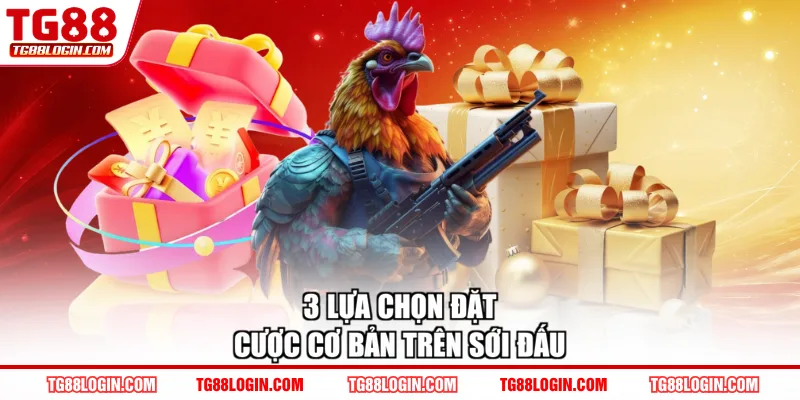 3 lựa chọn đặt cược cơ bản trên sới đấu