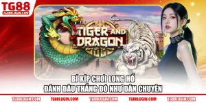 Bí Kíp Chơi Long Hổ