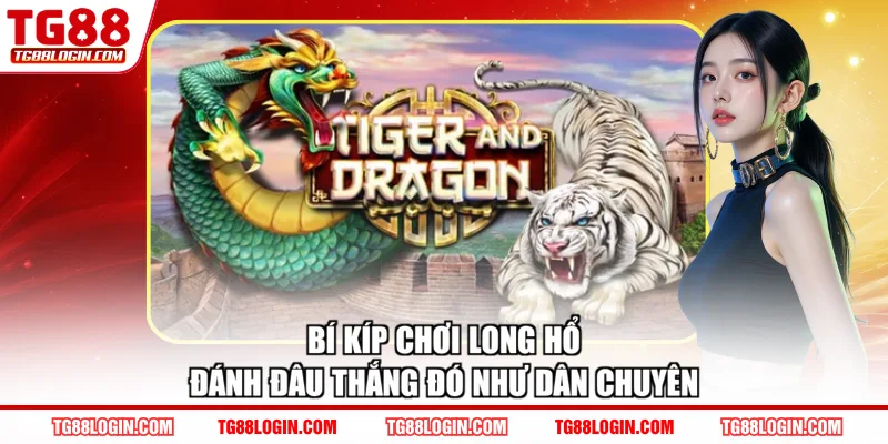 Bí Kíp Chơi Long Hổ