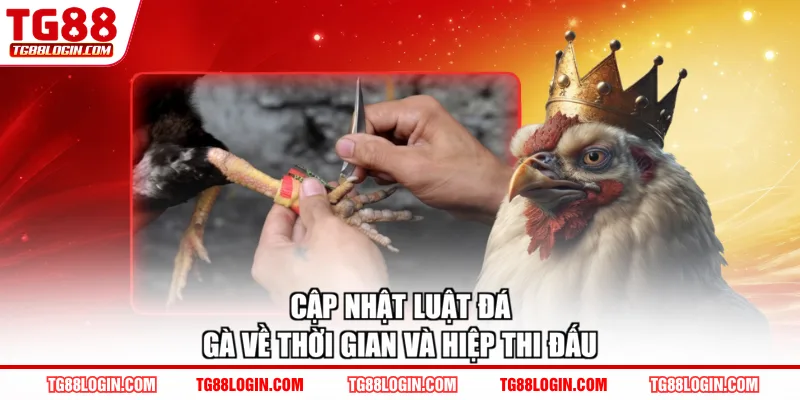 Cập nhật luật đá gà về thời gian và hiệp thi đấu