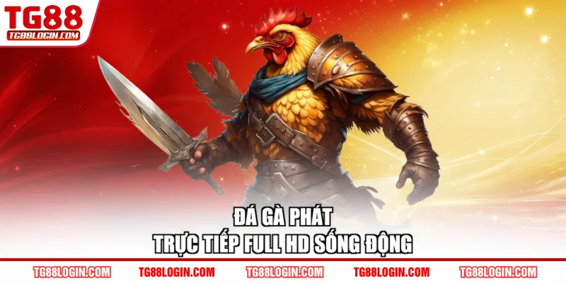 Đá gà phát trực tiếp full HD sống động