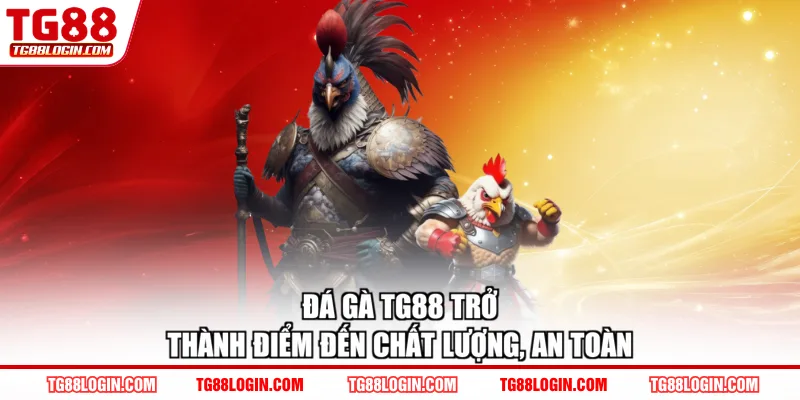 Đá gà TG88 trở thành điểm đến chất lượng, an toàn