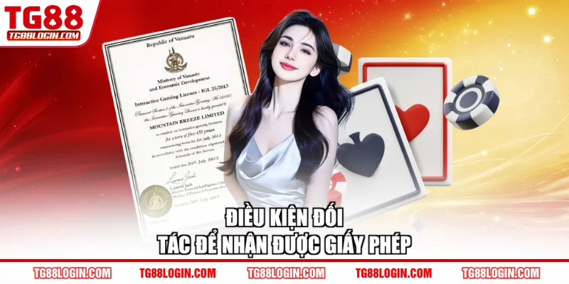 Điều kiện đối tác để nhận được giấy phép