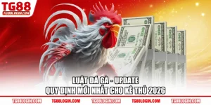 luật đá gà