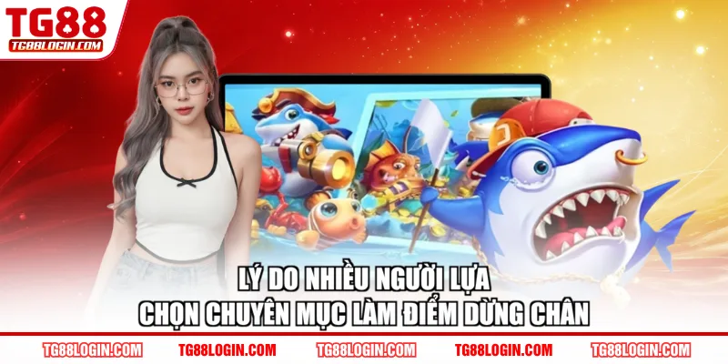 Lý do nhiều người lựa chọn chuyên mục làm điểm dừng chân