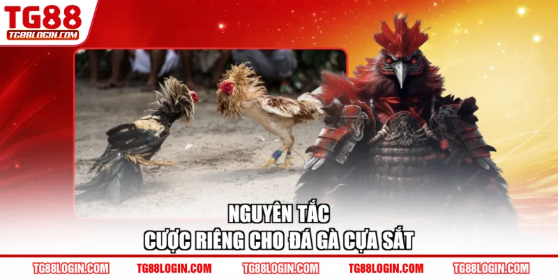 Nguyên tắc cược riêng cho đá gà cựa sắt