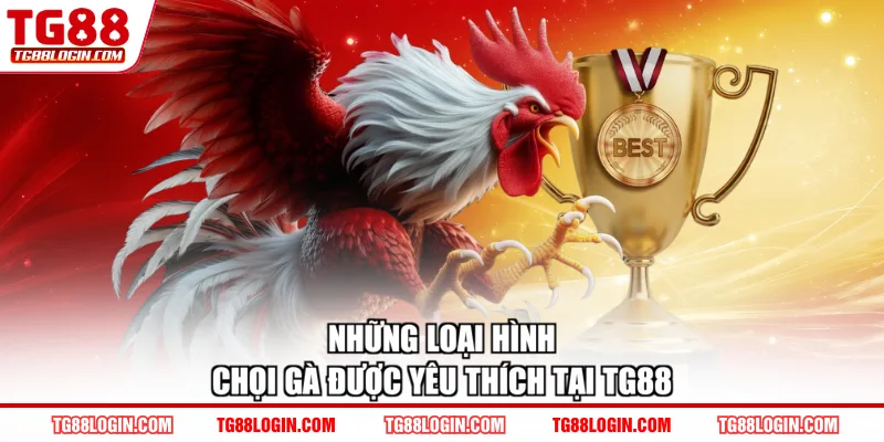 Những loại hình chọi gà được yêu thích tại TG88