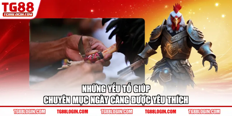Những yếu tố giúp chuyên mục ngày càng được yêu thích
