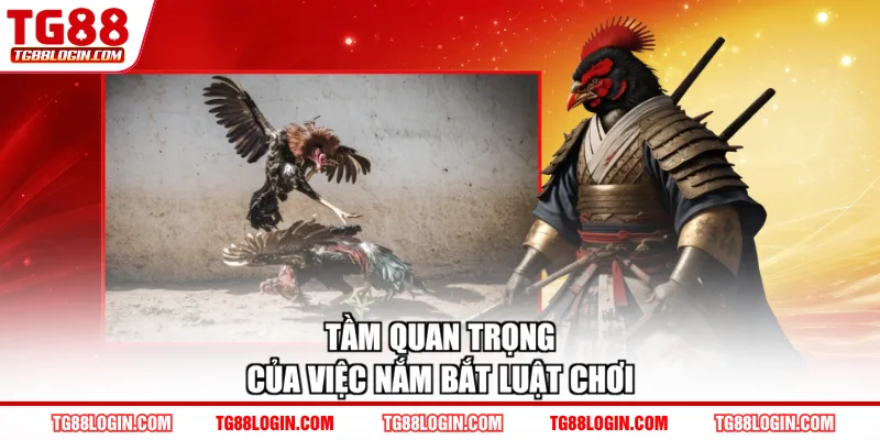 Tầm quan trọng của việc nắm bắt luật chơi