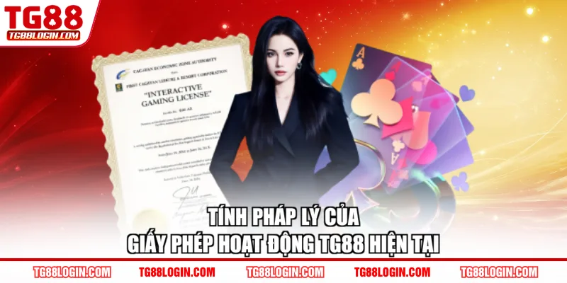 Tính pháp lý của giấy phép hoạt động TG88 hiện tại